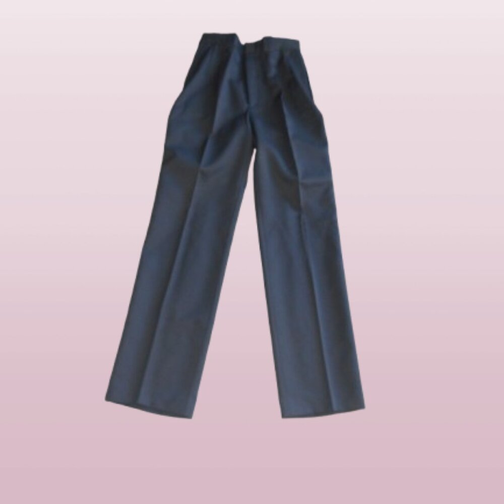Vintage Western Pants Pleat Front High Waist Circle S